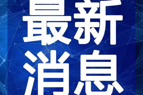 海外舅舅爆料视频大全最新,揭秘真实海外生活点滴